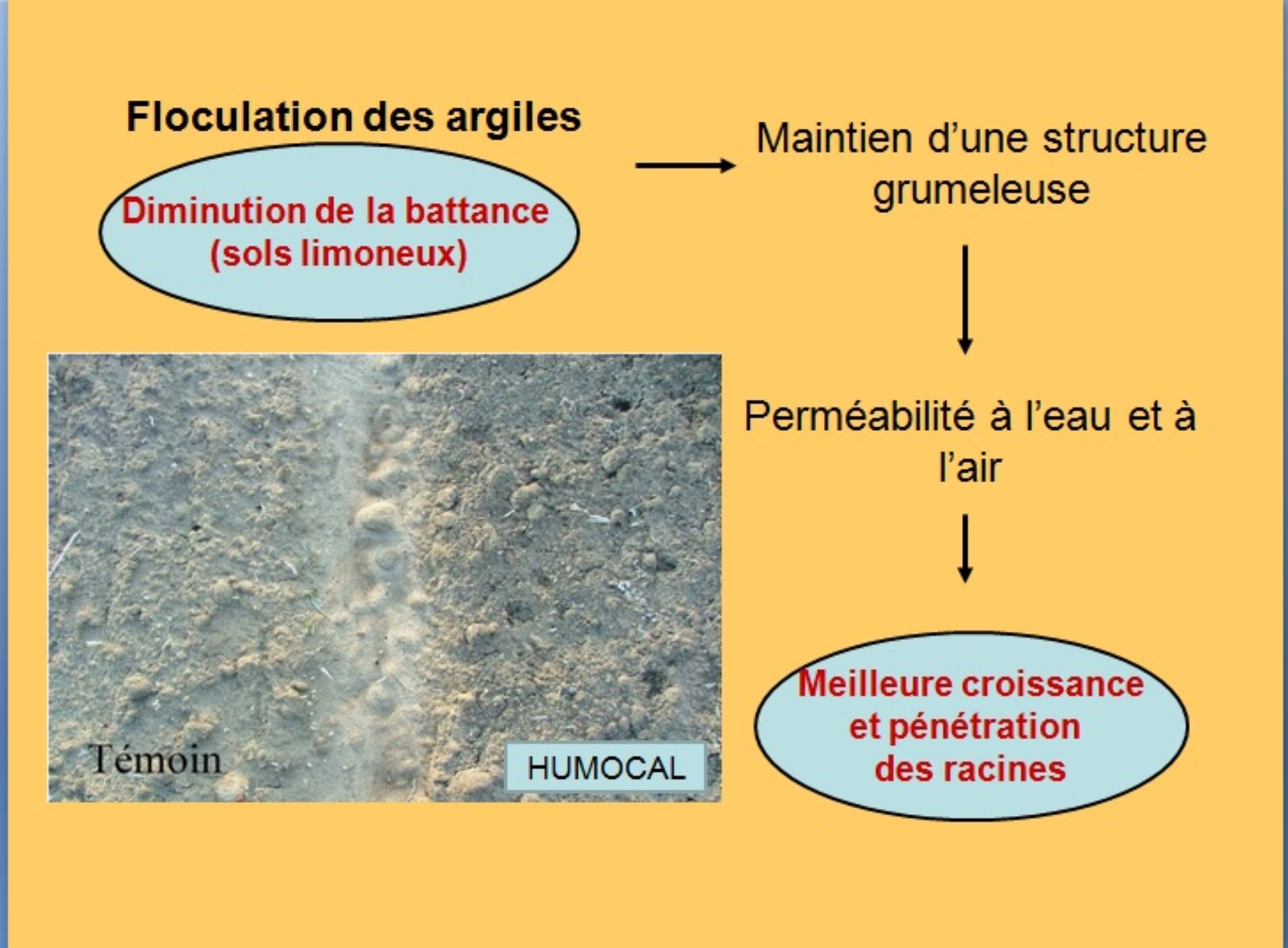 Floculation