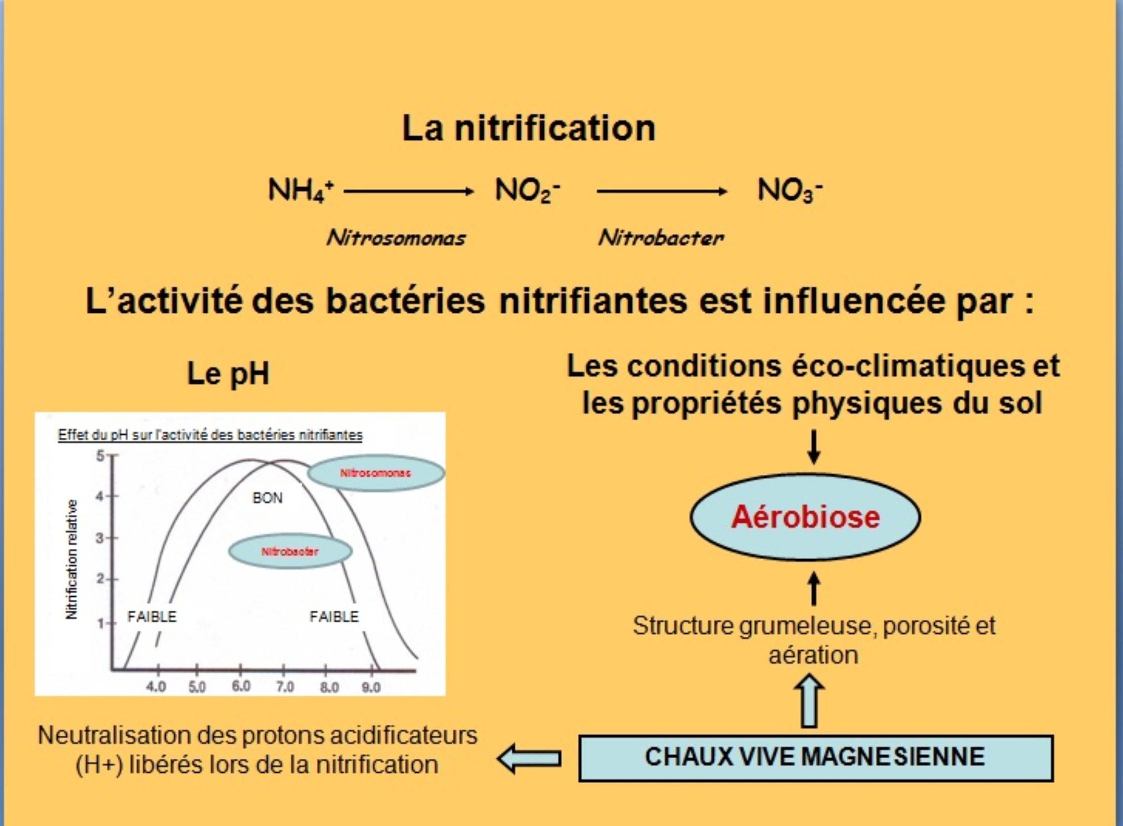 Nutrification